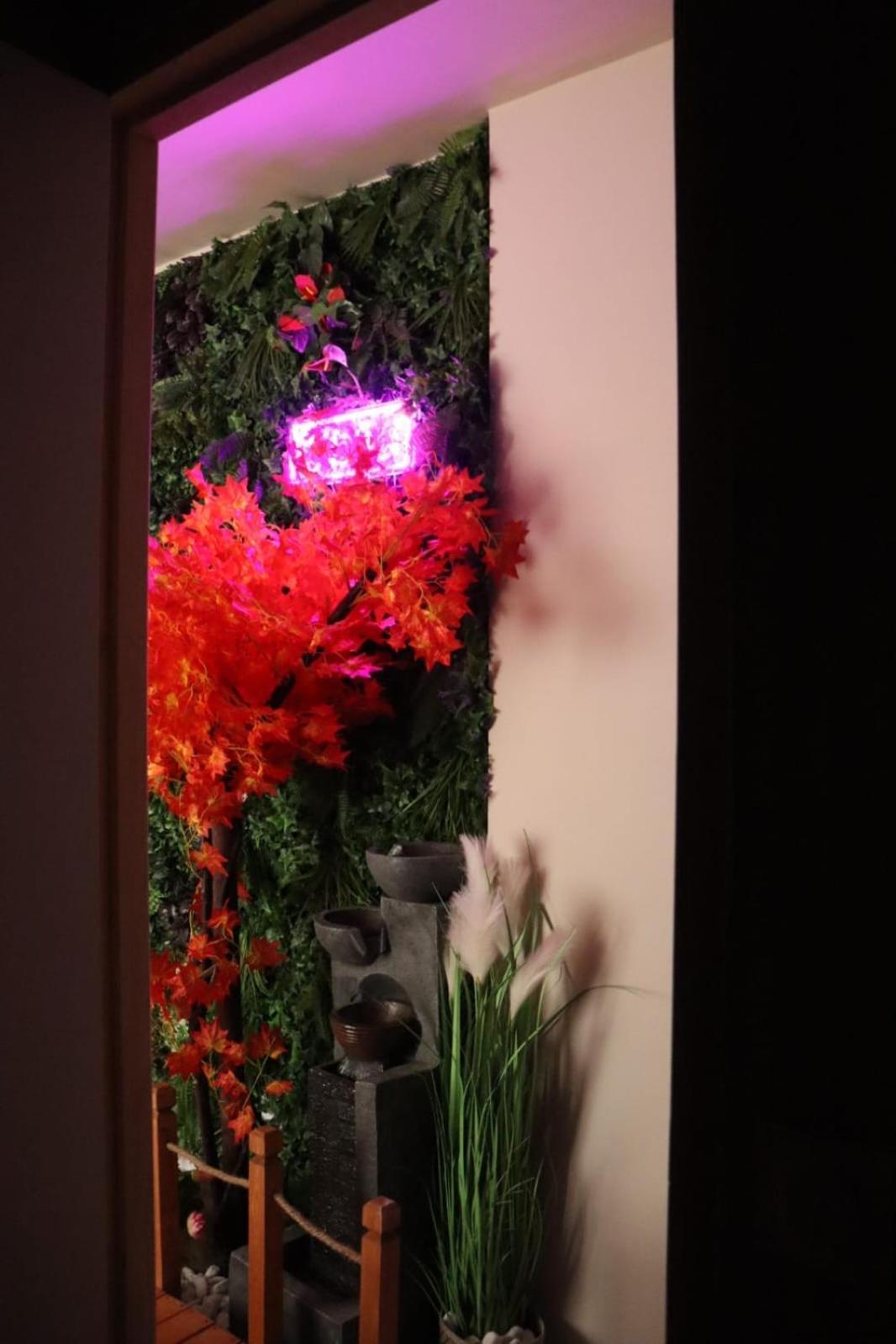 Loveroom Japon Avec Balneotherapie Tolón Exterior foto